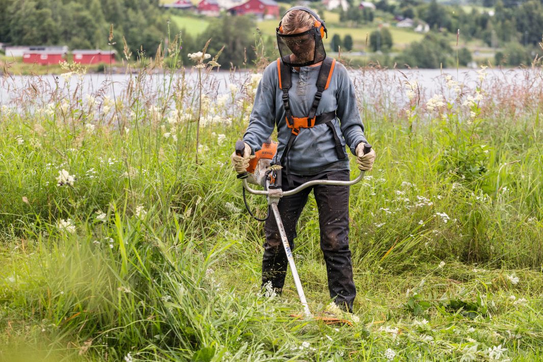Débroussailleuse thermique STIHL FS 240
