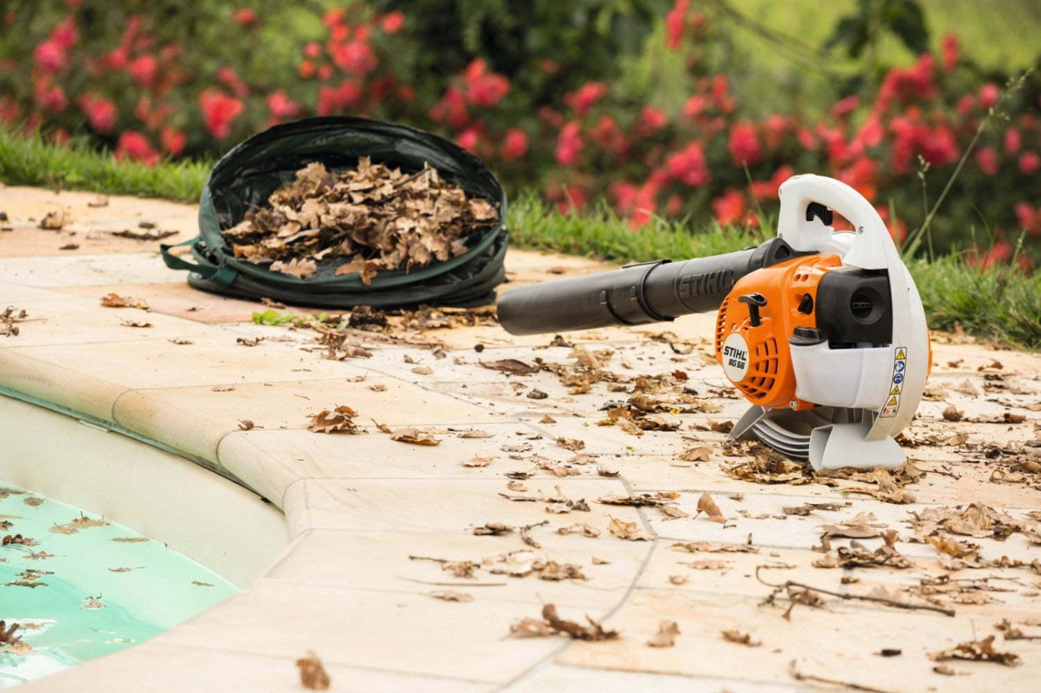 Souffleur thermique STIHL BG 56