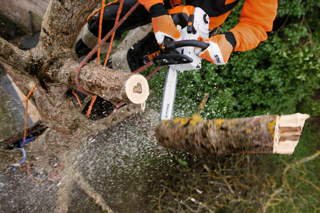 Tronçonneuse d'élagage thermique STIHL MS 201 TC-M 35cm