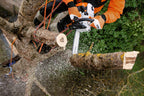 Tronçonneuse d'élagage thermique STIHL MS 201 TC-M 35cm